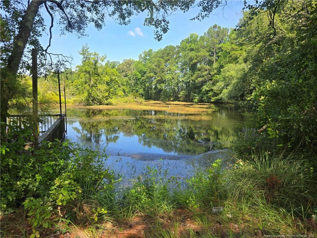 Photo 24 - 0 Everett Road, Parkton, NC 28371