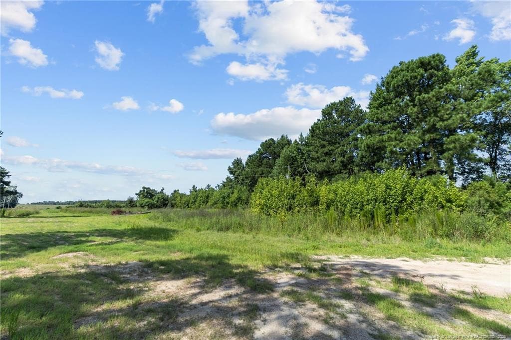 Photo 26 - 0 Everett Road, Parkton, NC 28371