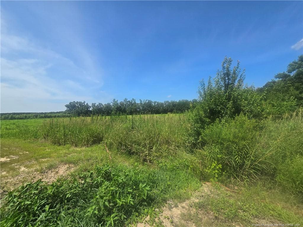 Photo 28 - 0 Everett Road, Parkton, NC 28371