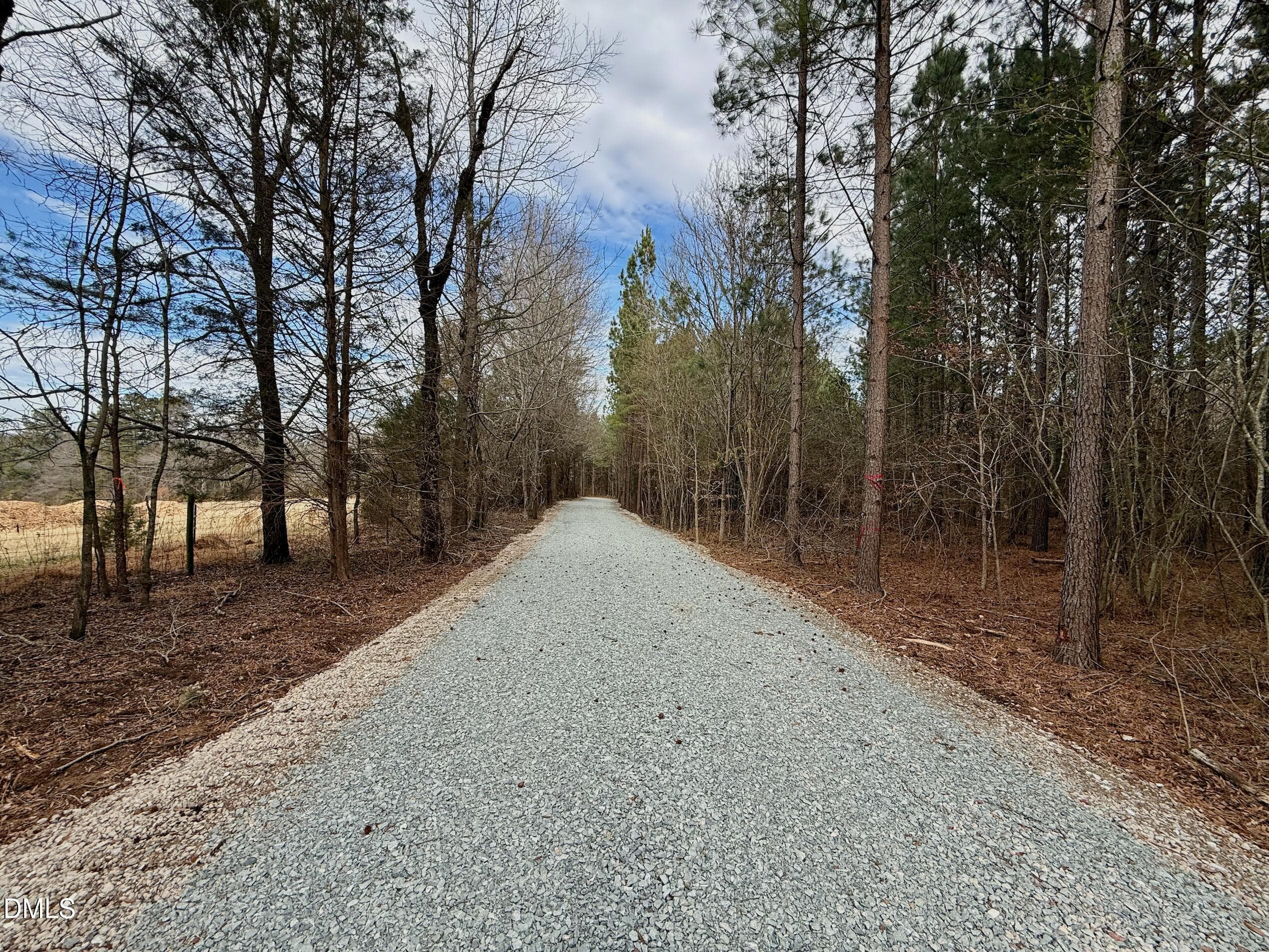 Road - Lot D Wolf Tree Way, Efland, NC 27243