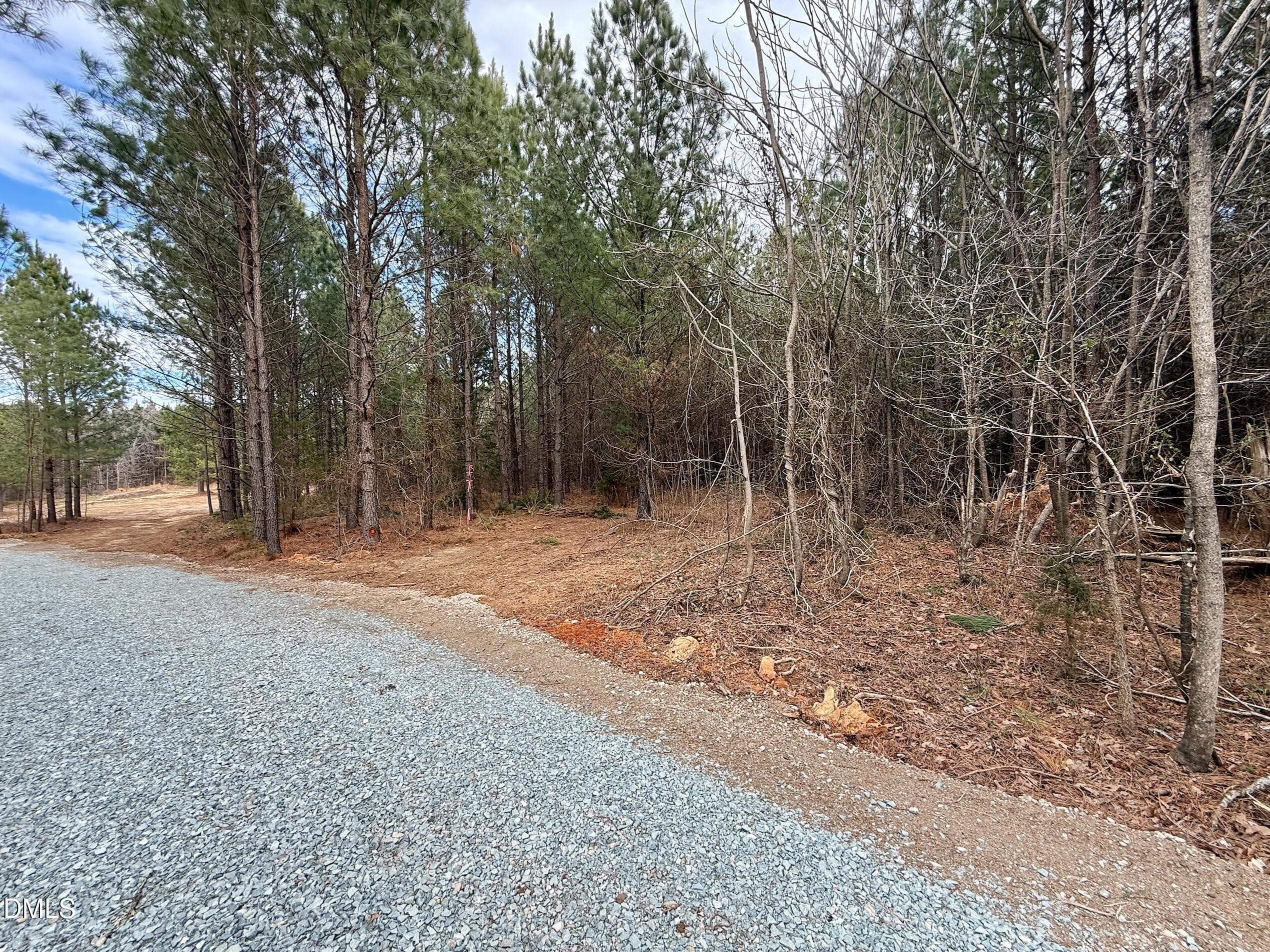 IMG_2564 - Lot D Wolf Tree Way, Efland, NC 27243