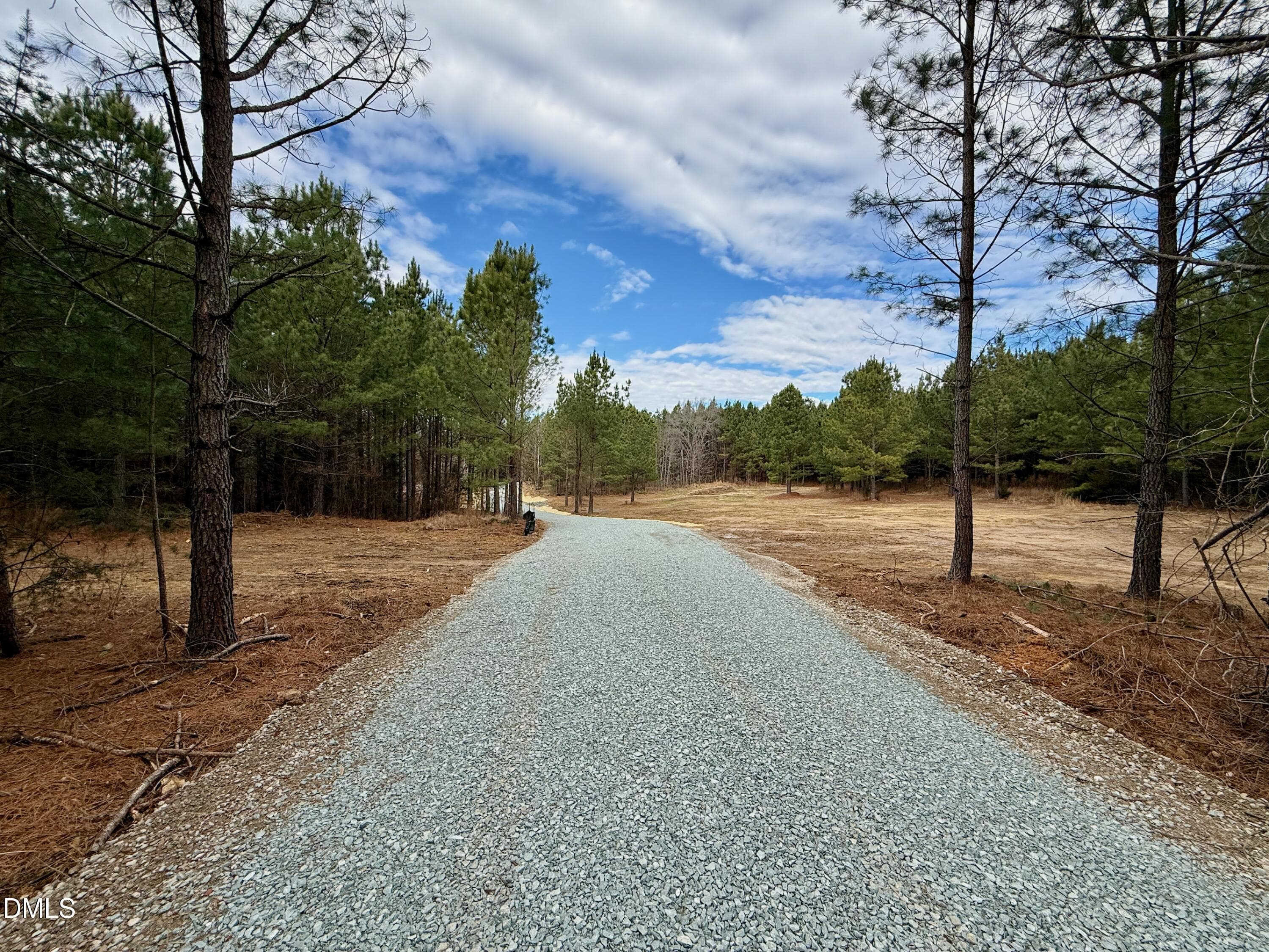 Road - Lot D Wolf Tree Way, Efland, NC 27243