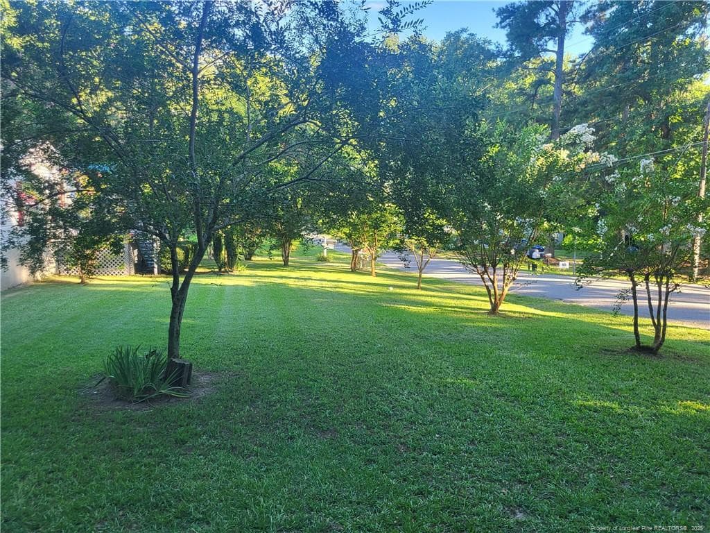Photo 40 - 716 Pinecrest Street, Carthage, NC 28327