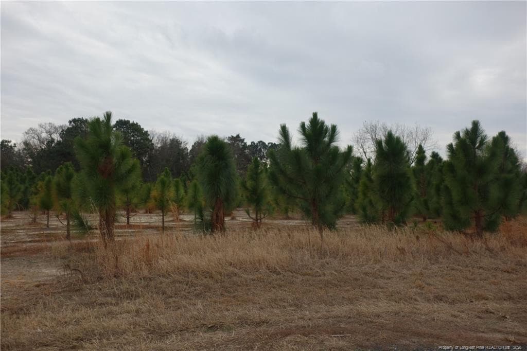 Lot 48 Stuarts Mill Road, Fairmont, NC 28340