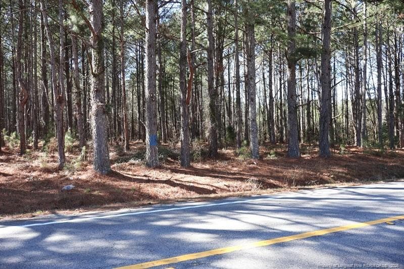 Photo 2 - NC Hwy 130 Highway, Fairmont, NC 28340, Fairmont