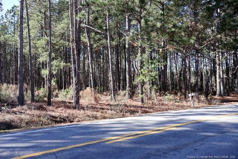 Photo 4 - NC Hwy 130 Highway, Fairmont, NC 28340, Fairmont
