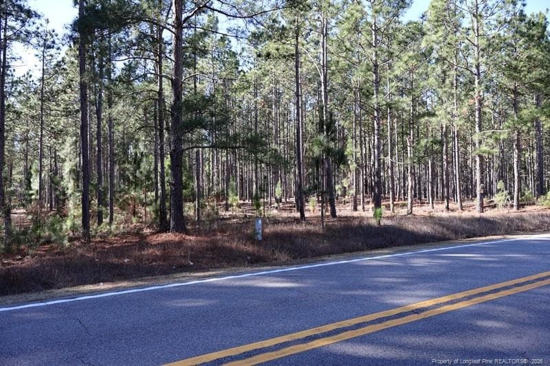 Photo 5 - NC Hwy 130 Highway, Fairmont, NC 28340, Fairmont