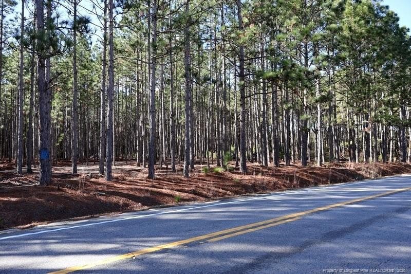 Photo 6 - NC Hwy 130 Highway, Fairmont, NC 28340, Fairmont