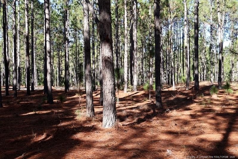 Photo 3 - Stuarts Mill Road, Fairmont, NC 28340, Fairmont