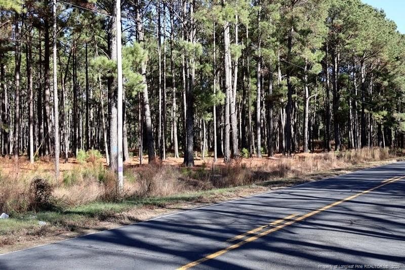 Photo 4 - Stuarts Mill Road, Fairmont, NC 28340, Fairmont