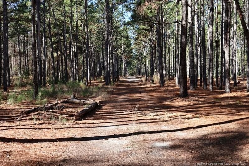 Photo 7 - Stuarts Mill Road, Fairmont, NC 28340, Fairmont