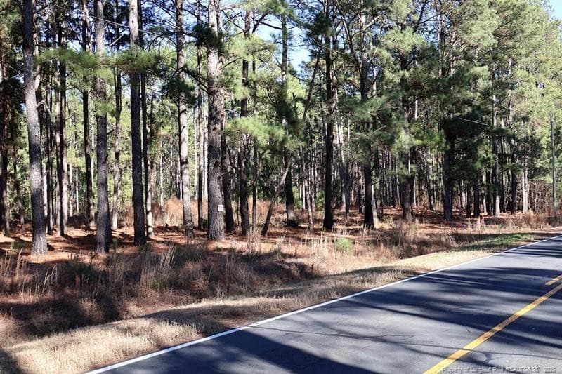 Photo 9 - Stuarts Mill Road, Fairmont, NC 28340, Fairmont