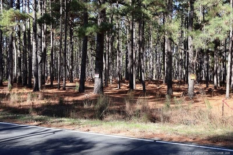 Photo 11 - Stuarts Mill Road, Fairmont, NC 28340, Fairmont