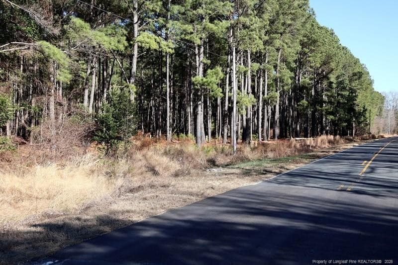 Photo 13 - Stuarts Mill Road, Fairmont, NC 28340, Fairmont