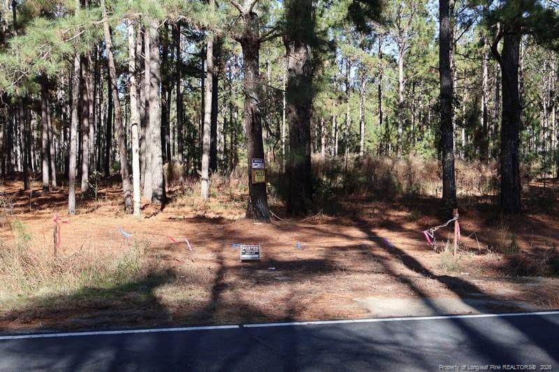 Photo 10 - Stuarts Mill Road, Fairmont, NC 28340, Fairmont