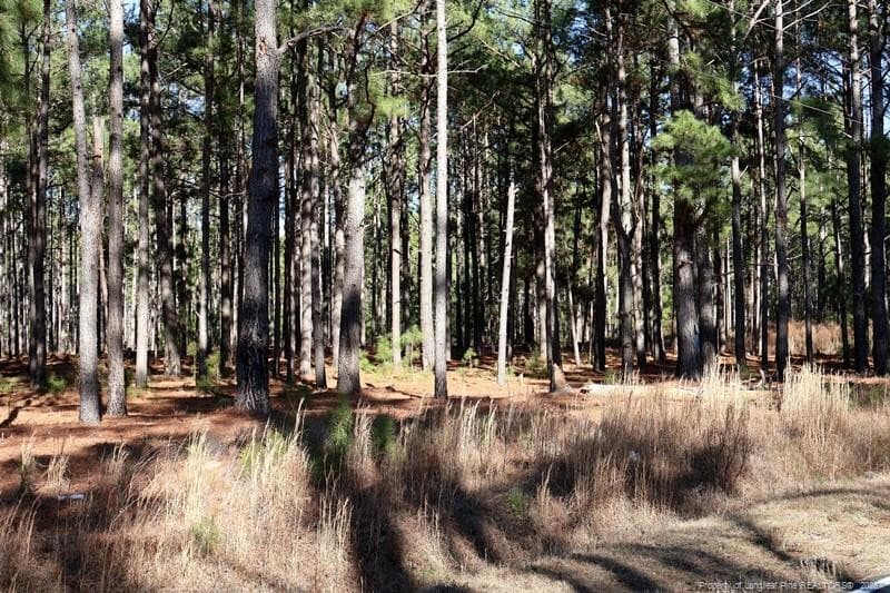 Photo 14 - Stuarts Mill Road, Fairmont, NC 28340, Fairmont