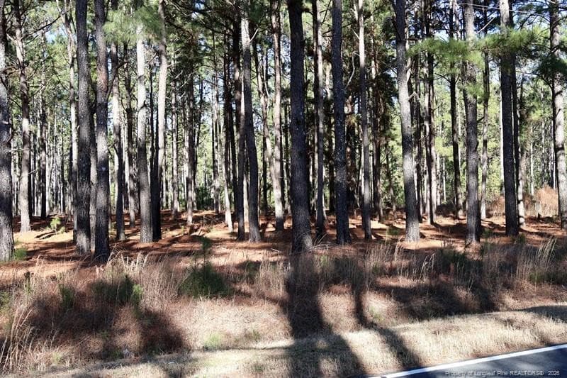 Photo 15 - Stuarts Mill Road, Fairmont, NC 28340, Fairmont