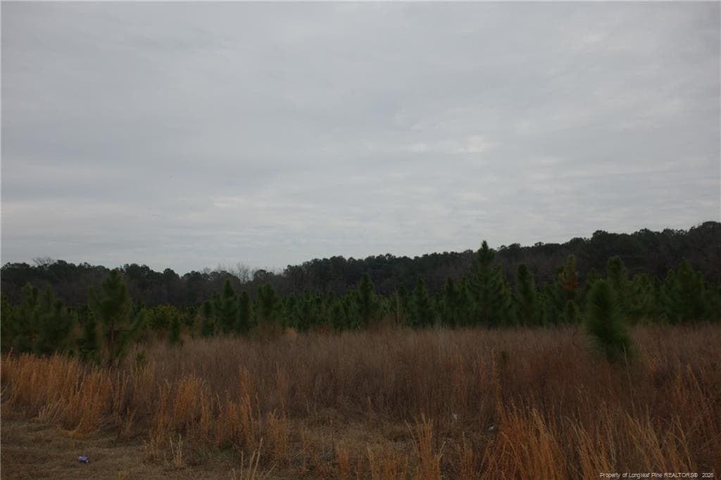 Lot 45 Stuarts Mill Road, Fairmont, NC 28340