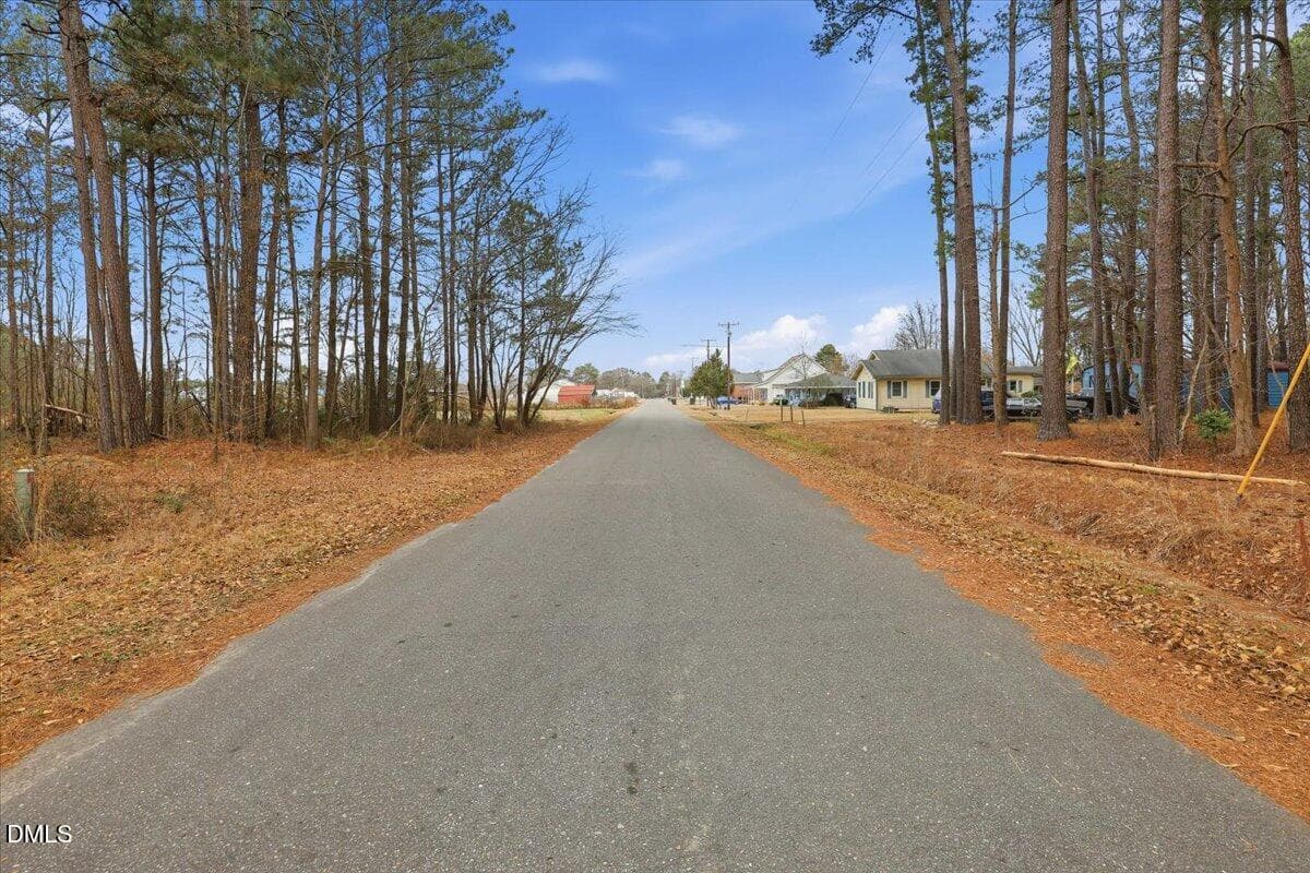 22-E Fatetteville St-22 - 00 E Fayetteville Street, Micro, NC 27555