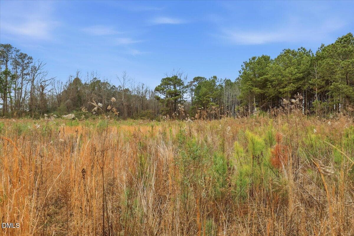 21-E Fatetteville St-21 - 00 E Fayetteville Street, Micro, NC 27555