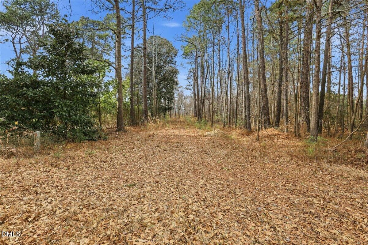 00 E Fayetteville Street, Micro, NC 27555