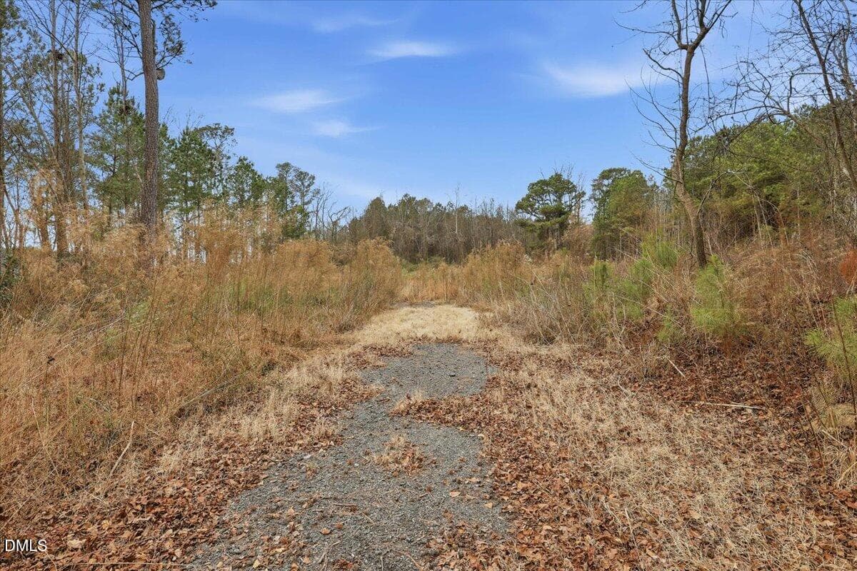 15-E Fatetteville St-15 - 00 E Fayetteville Street, Micro, NC 27555