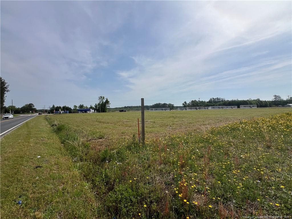 Photo 4 - Hwy. 211, Red Springs, NC 28371