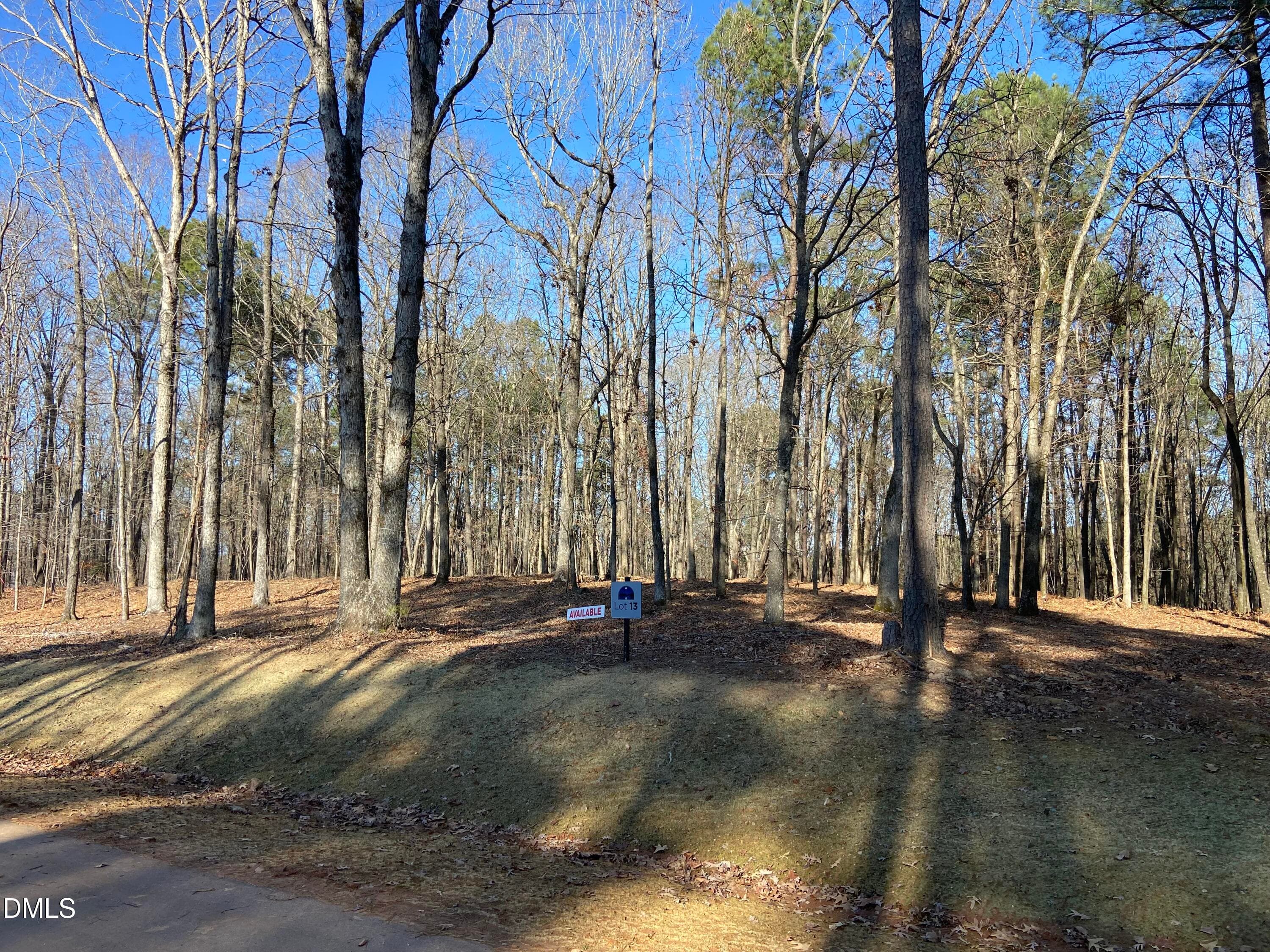 IMG_3867 - 6728 Bartley Point Drive, New Hill, NC 27562