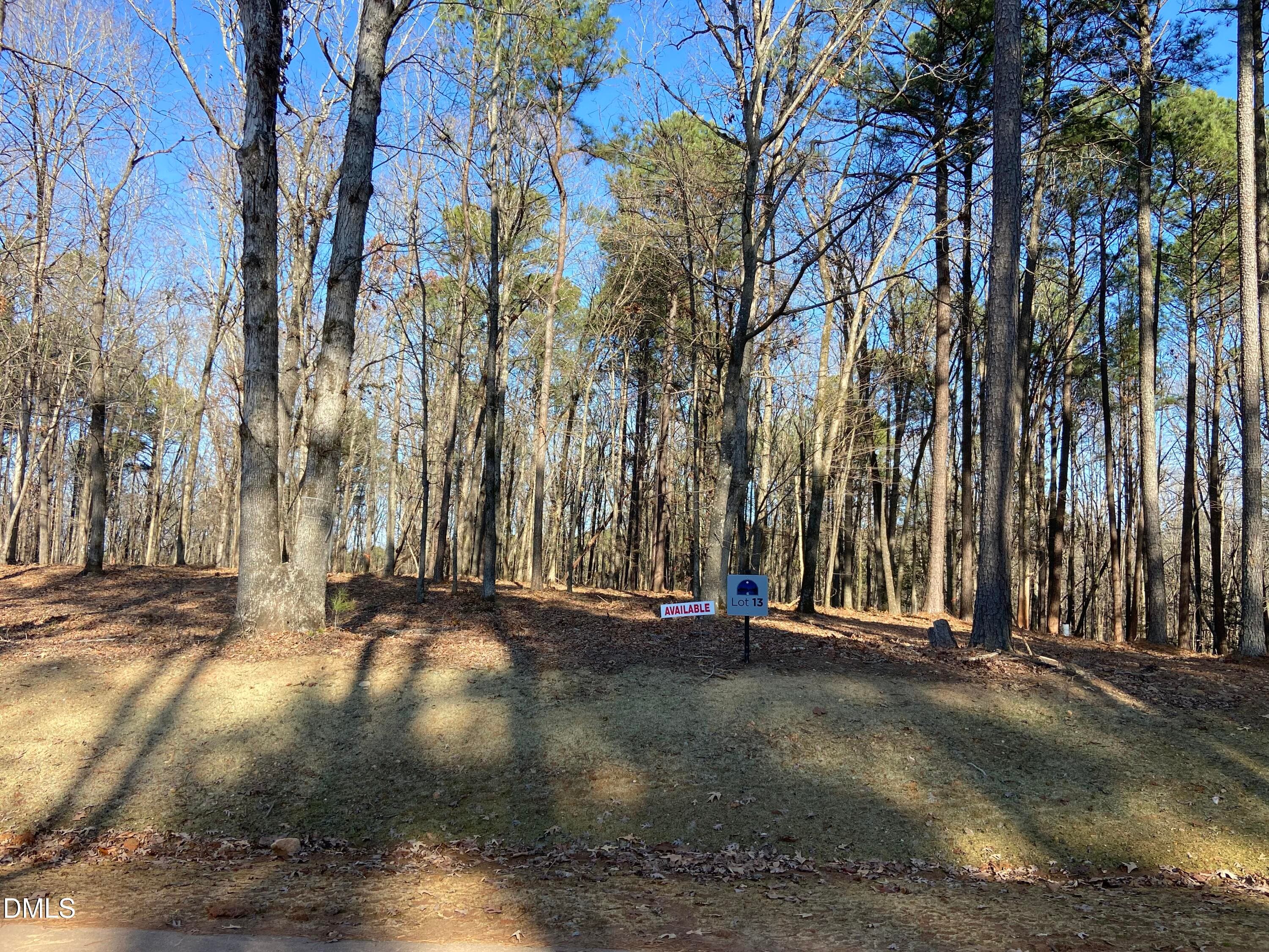IMG_3868 - 6728 Bartley Point Drive, New Hill, NC 27562