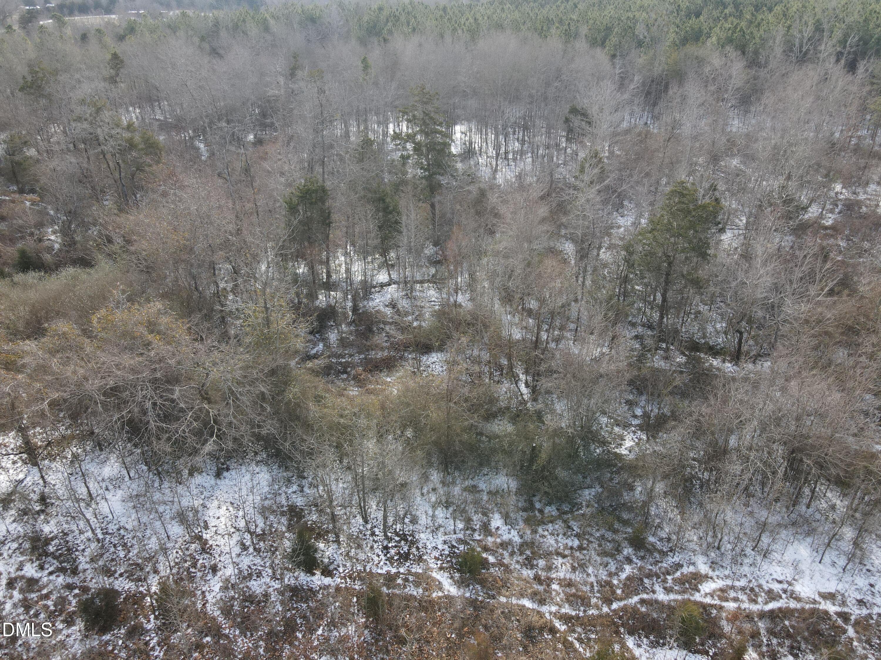 DJI_0675 - 0 Oakley Road, Cedar Grove, NC 27231