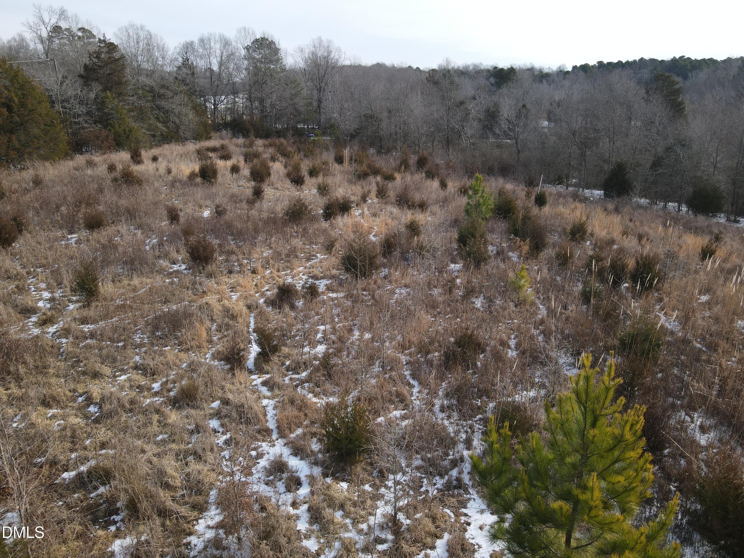 DJI_0676 - 0 Oakley Road, Cedar Grove, NC 27231