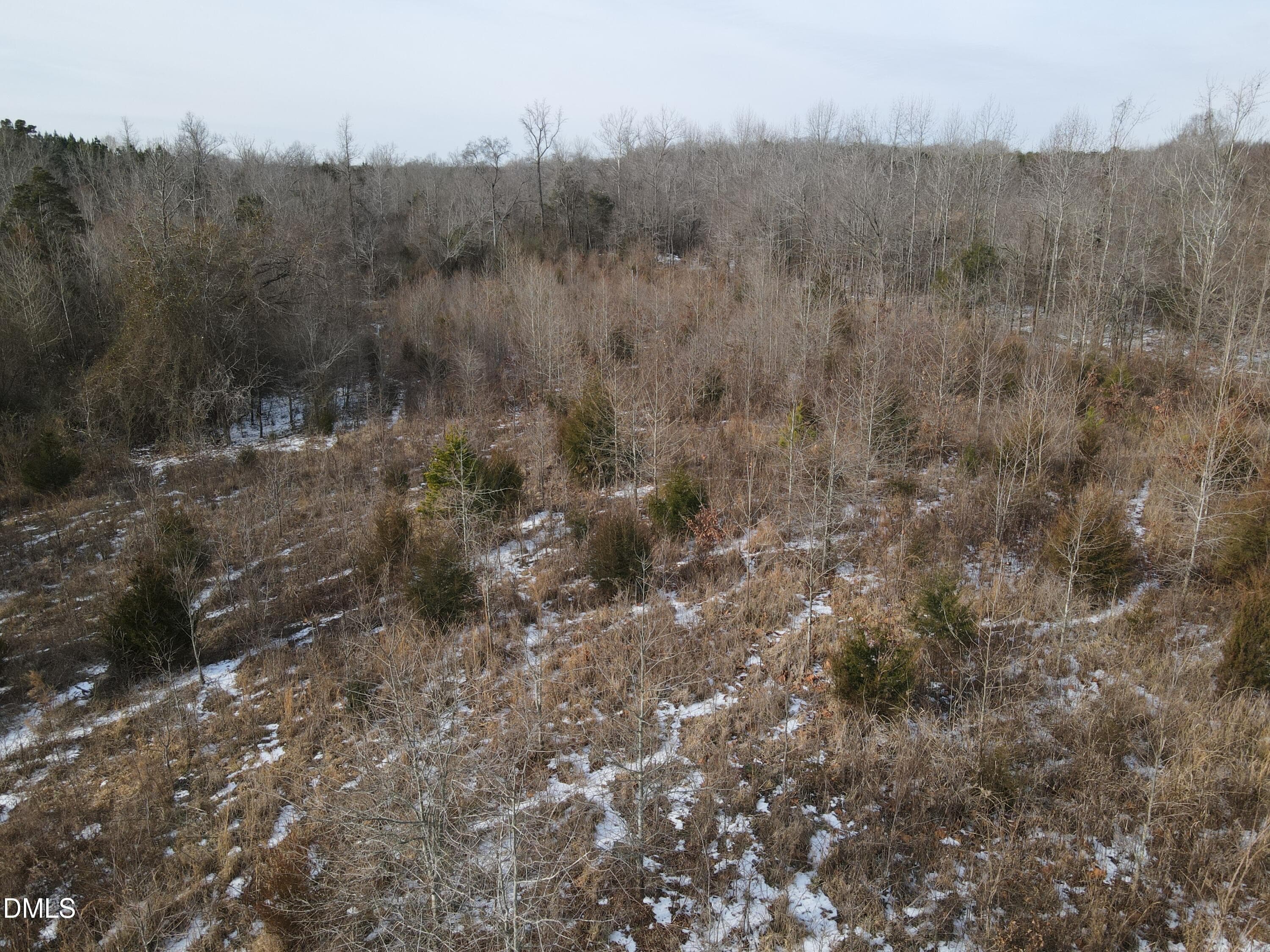 DJI_0677 - 0 Oakley Road, Cedar Grove, NC 27231