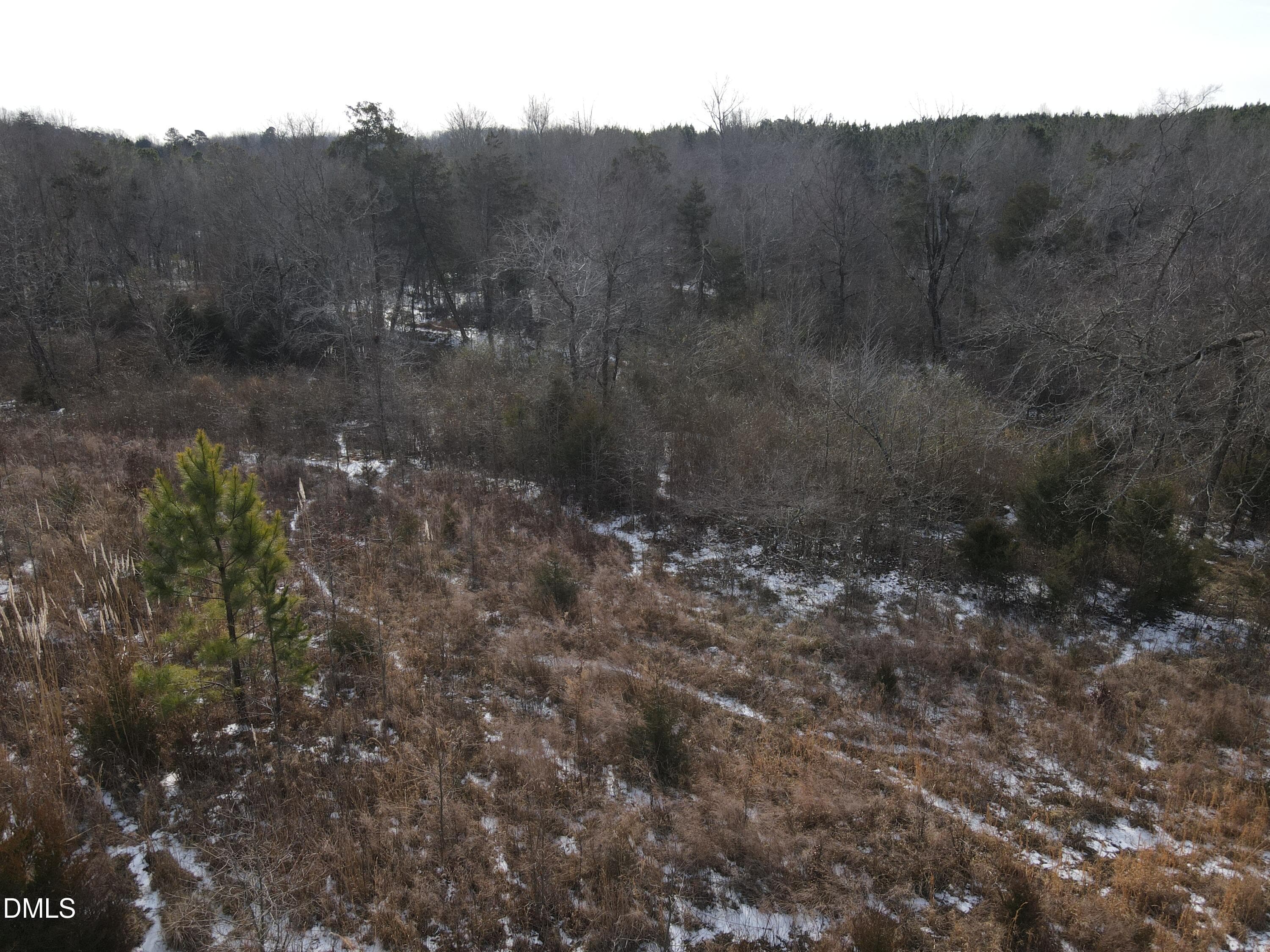 DJI_0678 - 0 Oakley Road, Cedar Grove, NC 27231