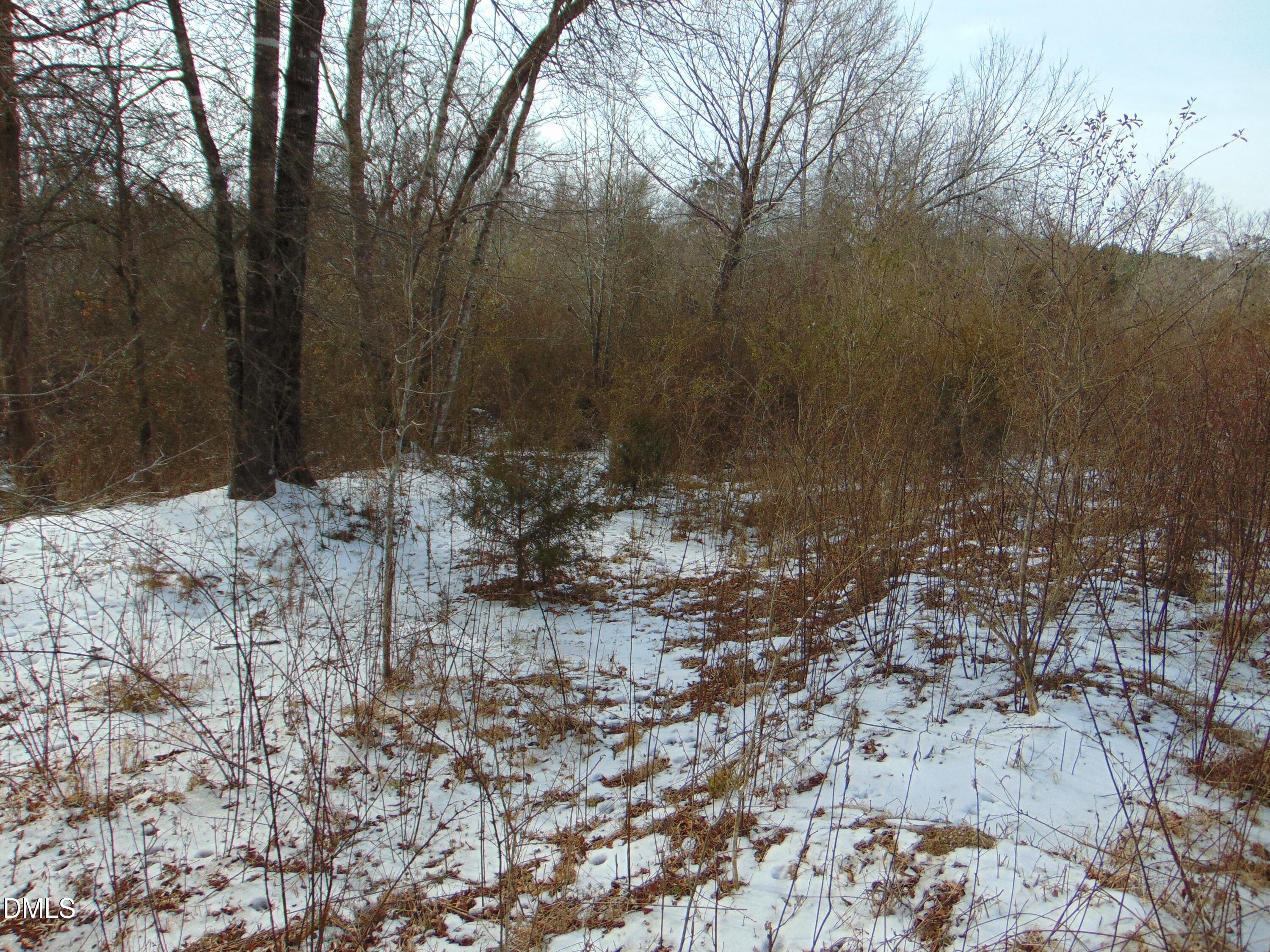 DSC01349 - 0 Oakley Road, Cedar Grove, NC 27231