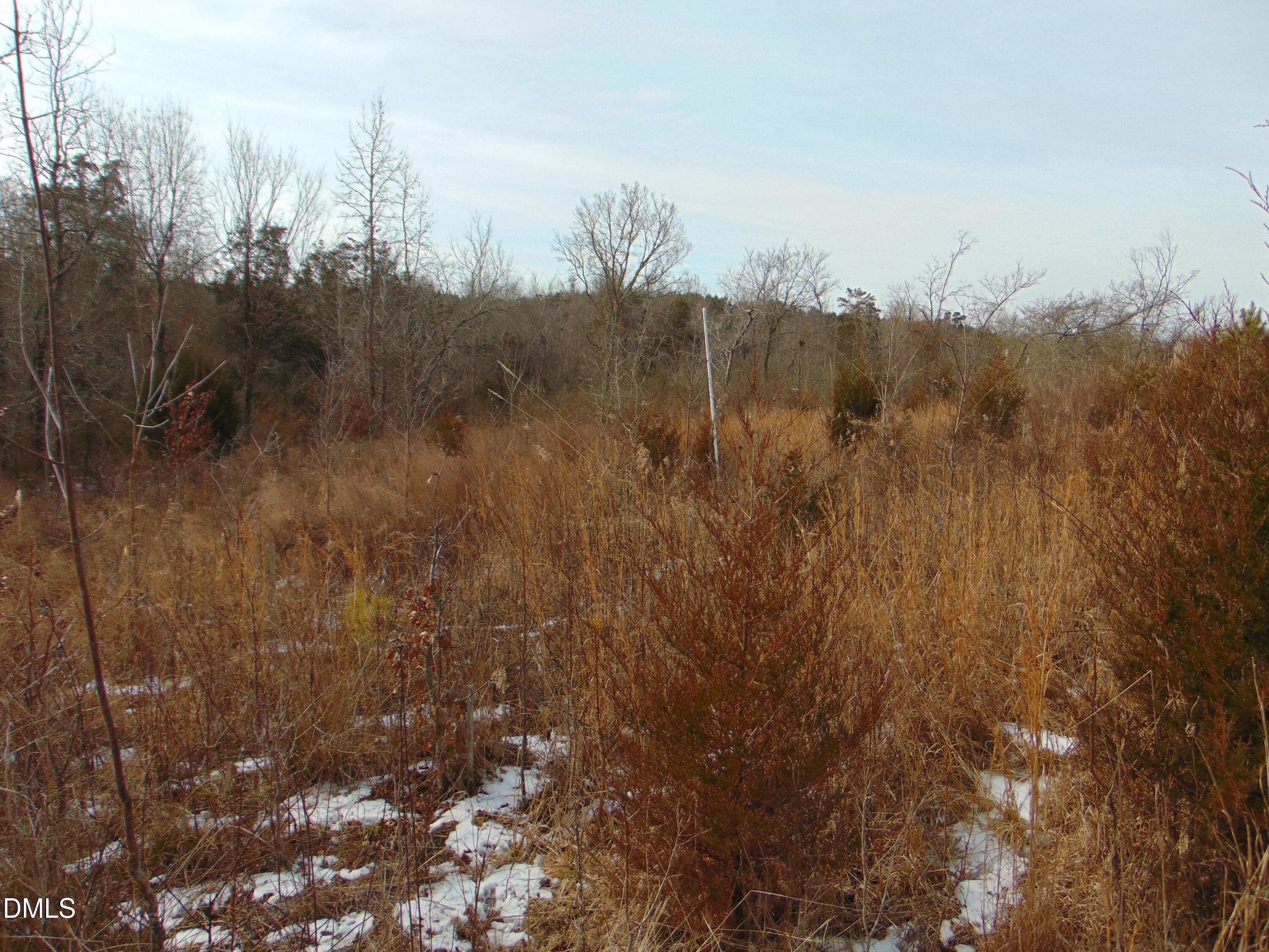 DSC01350 - 0 Oakley Road, Cedar Grove, NC 27231