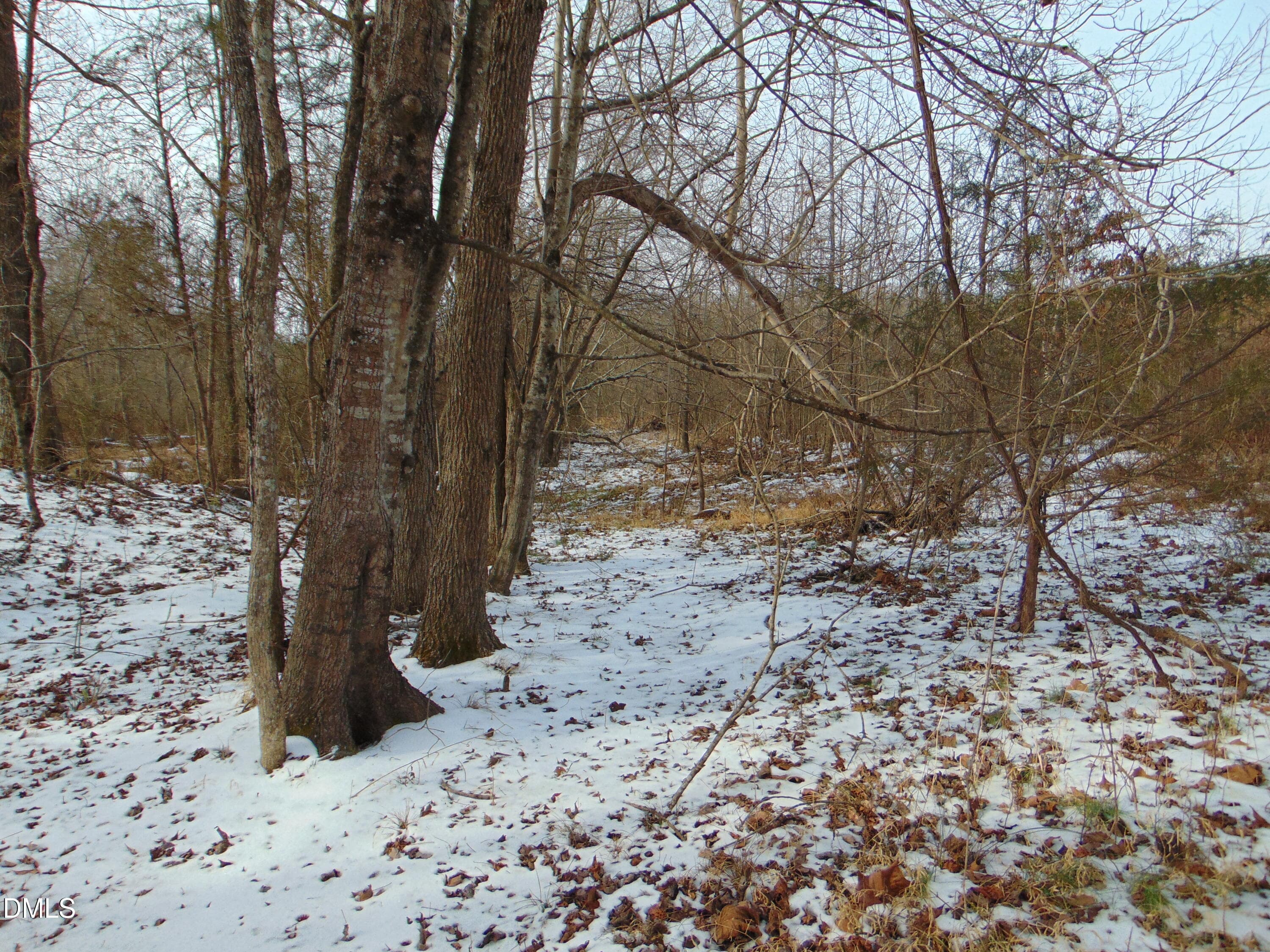 DSC01354 - 0 Oakley Road, Cedar Grove, NC 27231