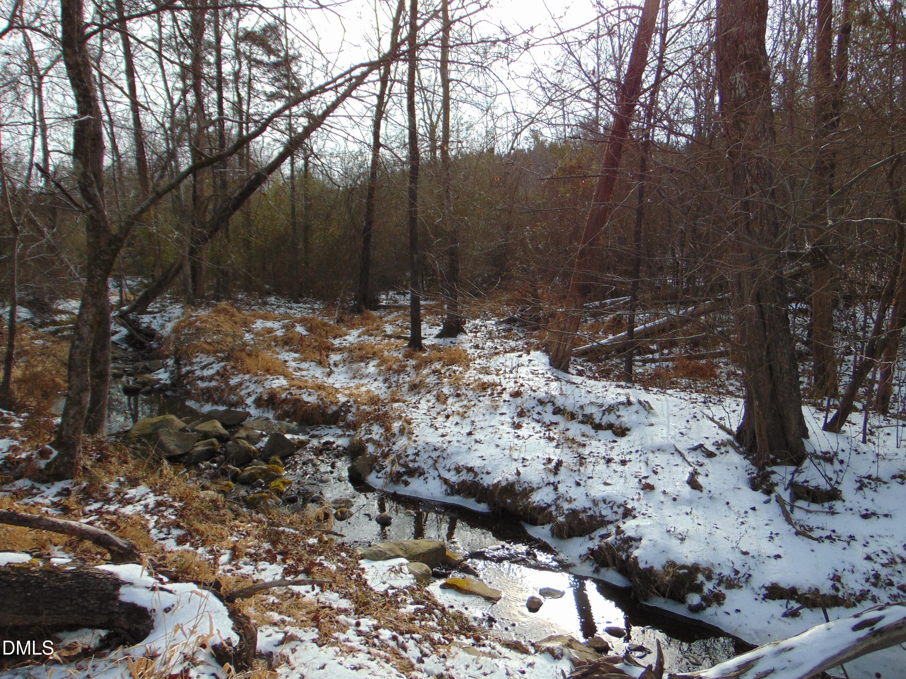 DSC01355 - 0 Oakley Road, Cedar Grove, NC 27231