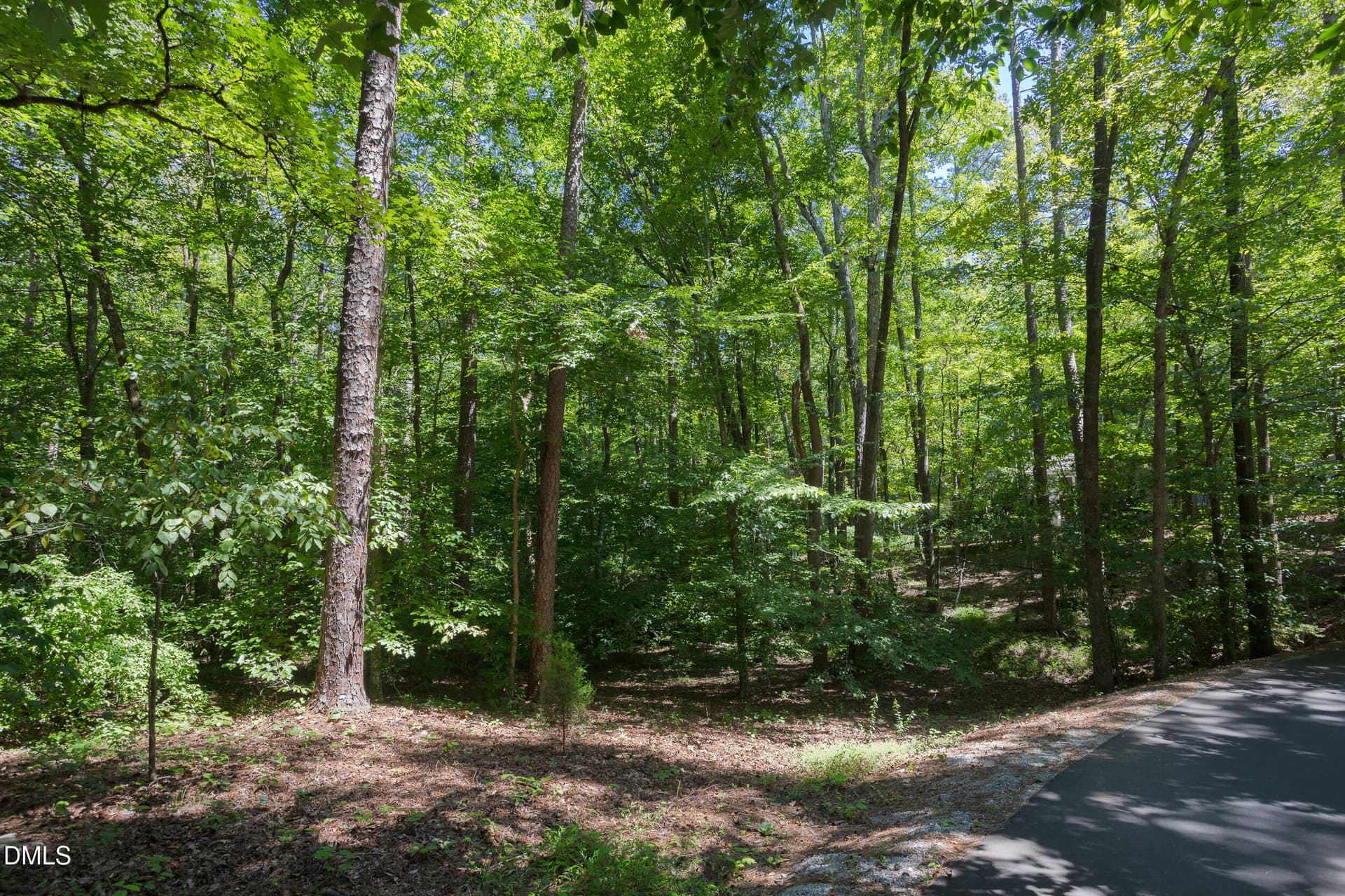 4519_Chicopee_MLS-12 - 4515 Chicopee Trail, Durham, NC 27707