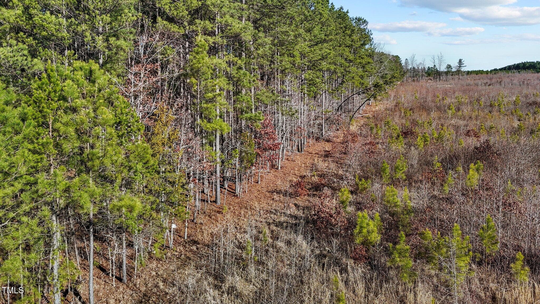 8-web-or-mls-DJI_20250311094751_0766_D - 1665 Satterwhite Road, Oxford, NC 27565