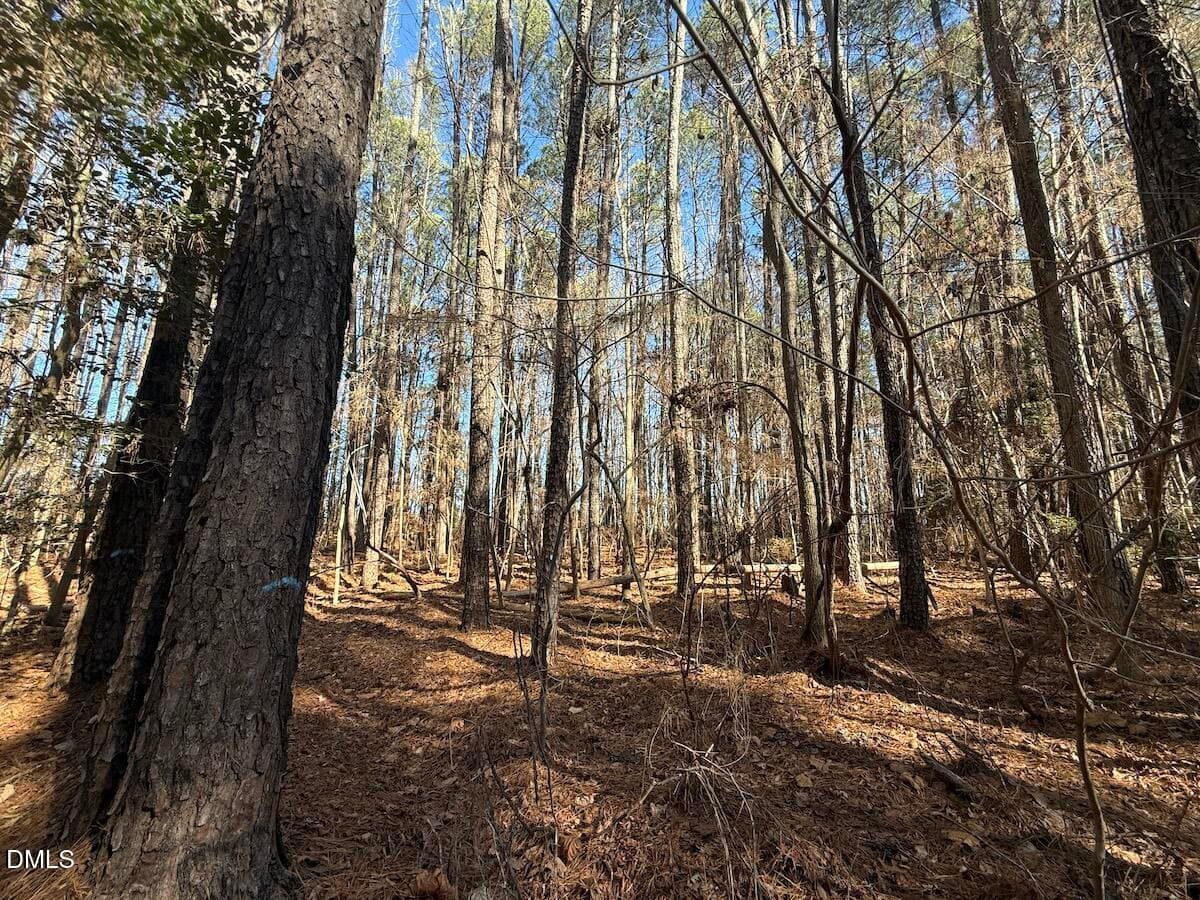 17 - 1012 S Halifax Road, Rocky Mount, NC 27803, Rocky Mount