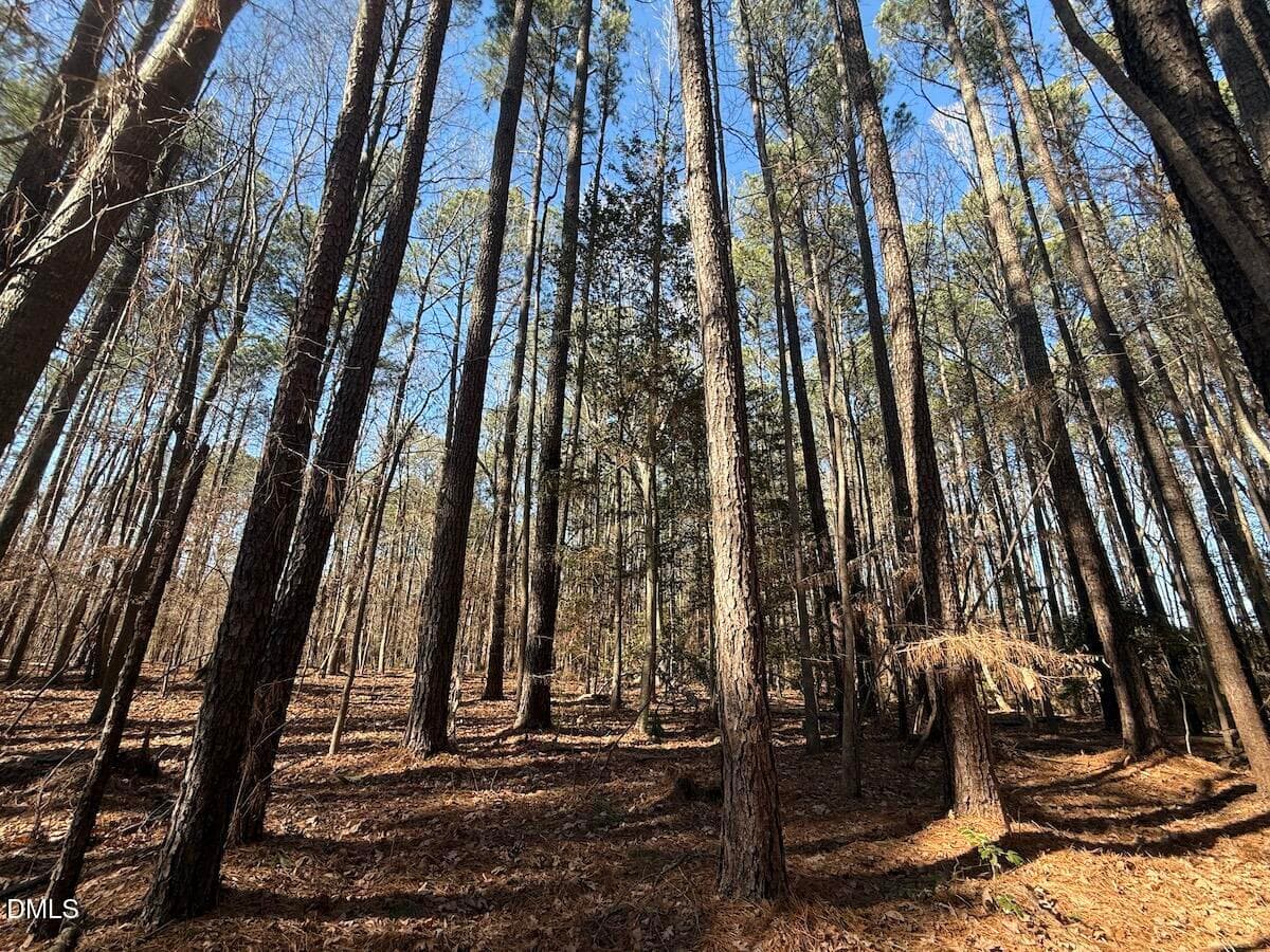 21 - 1012 S Halifax Road, Rocky Mount, NC 27803, Rocky Mount