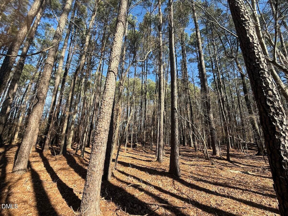 29 - 1012 S Halifax Road, Rocky Mount, NC 27803, Rocky Mount