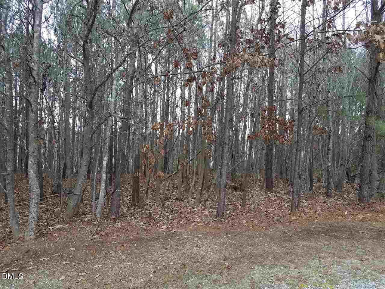 2908 Satori 3 - 2908 Satori Way, Apex, NC 27539