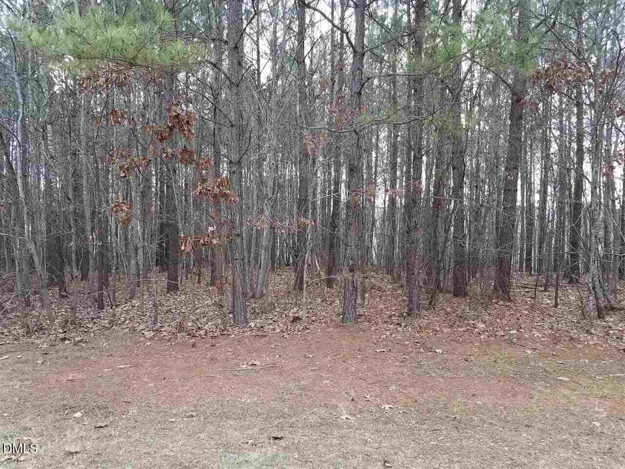 2908 Satori - 2908 Satori Way, Apex, NC 27539