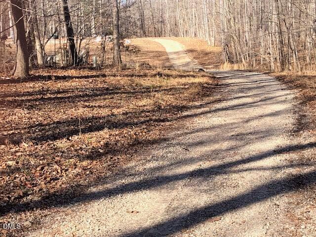 Photo 4 - 1135 Peninsula Lane, Bullock, NC 27507