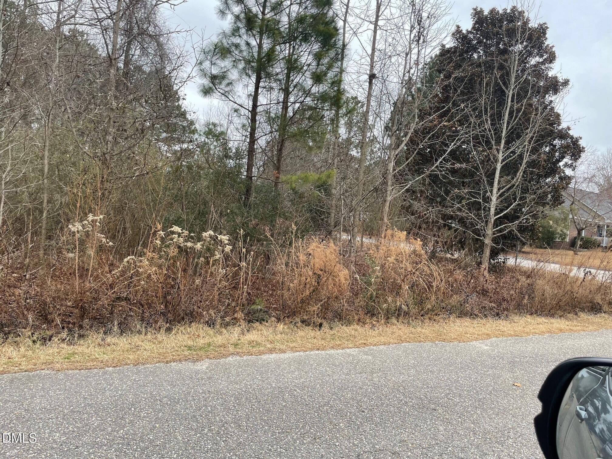 IMG_2601 - 70 Wilson, Bunnlevel, NC 28323