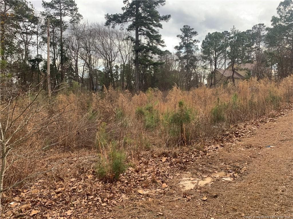 Photo 1 - 0 brookridge Drive, Cameron, NC 28326
