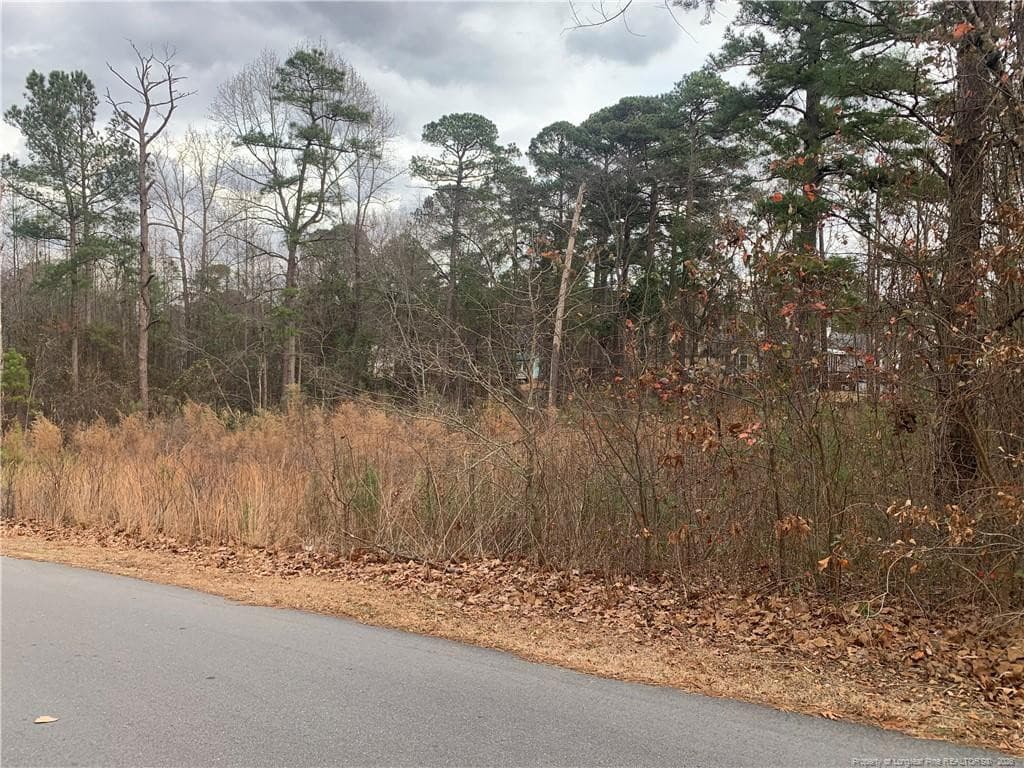 Photo 2 - 0 brookridge Drive, Cameron, NC 28326