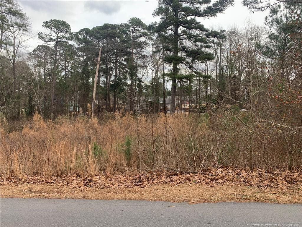 Photo 4 - 0 brookridge Drive, Cameron, NC 28326