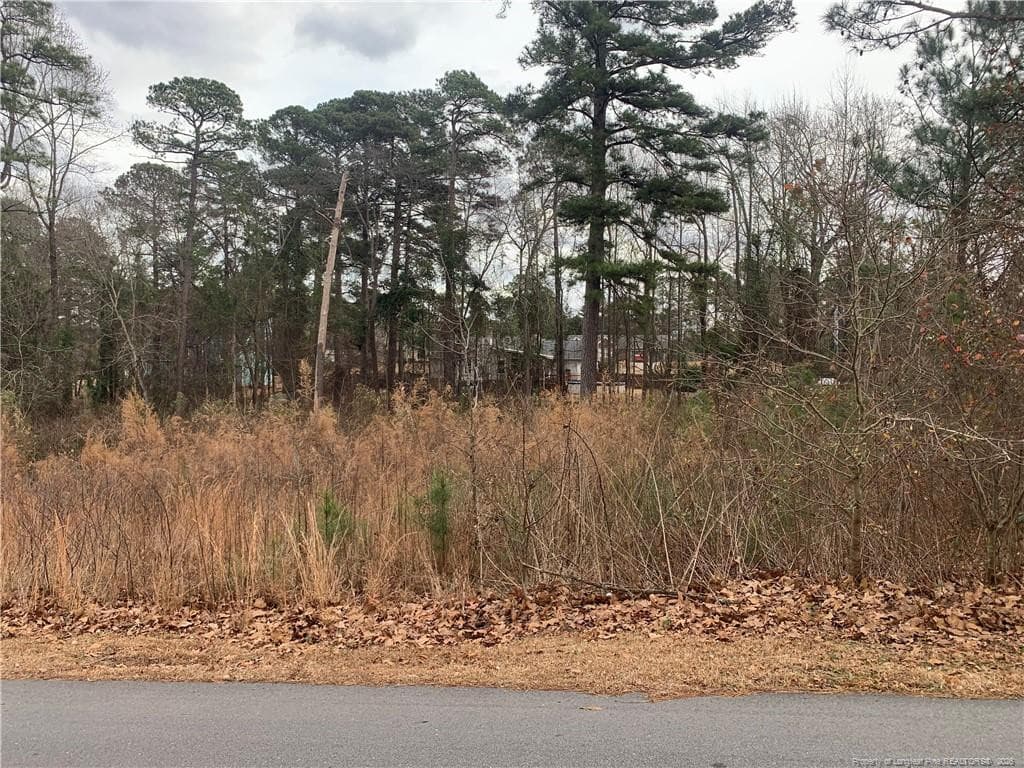 Photo 5 - 0 brookridge Drive, Cameron, NC 28326
